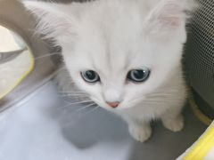 -佳雯宠物医院·皮肤科·内外科(春晓路分院)