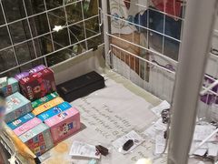 -初色海鲜自助(万丰路店)