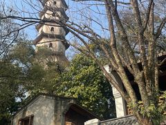 -江心屿景区