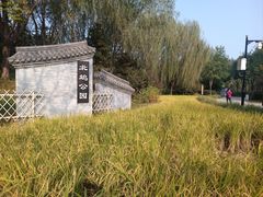 -北坞公园