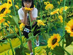 -天津梵高星空艺术馆(天河城旗舰店)