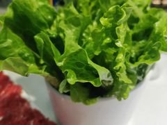 -老王全牛宴·鲜牛肉牛杂火锅(总店)