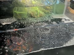 -小山寨(天润城店)