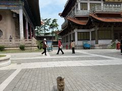 -高旻寺