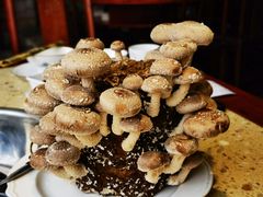 -先机泉水鸡汤(南山老君洞店)