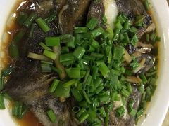 鸦片鱼头-红灯笼龙凤饭店(宁波老字号店)