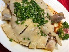 -新成海港大酒楼(康华路店)