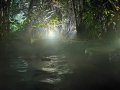 -厦门日月谷温泉渡假村