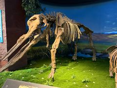 -安徽省地质博物馆