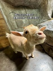 -Zoolung Zoolung动物主题公园(海信广场店)