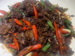 -味派菜园子(华章保利拾光荟店)
