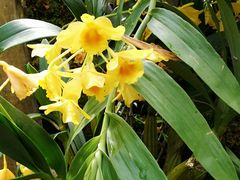 -南通洲际绿博园