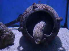 -大连老虎滩海洋公园