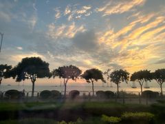 -宝安西湾红树林湿地公园