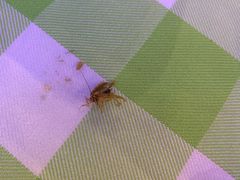 -快乐海鲜城(虎泉街店)