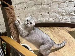 -不舍昼夜咖啡馆