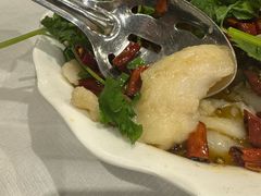 -峨嵋一派