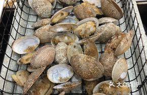 Grilled Clams on Skewers