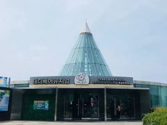 -济州岛泰迪熊博物馆