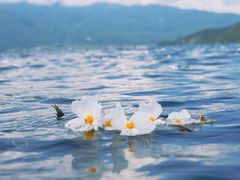 -丽江泸沽湖景区