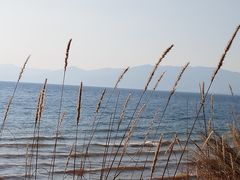 -月亮湾湿地公园
