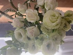 -HEYAN荷妍专业脱毛连锁机构