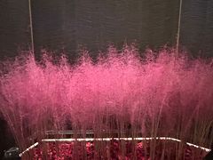 -尚善若水·汤泉·SPA·沐足(东方渔人码头店)