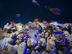 -福州罗源湾海洋世界旅游区