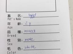 -申普宠物医院·心脏介入·心血管微创(总院)