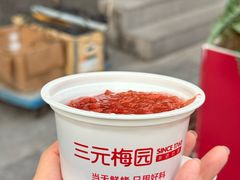 -三元梅园(前门店)