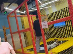 -不可思议减压馆·解压博物馆·摔碗发泄·团建定制