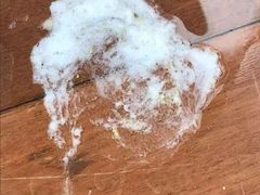 -中农大我爱我爱24h动物医院·中医针灸·猫专科·骨科医疗中心(双井店)