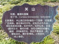 android_upload_pic-高东镇樱花园