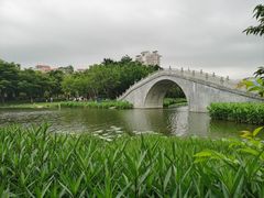 -映月湖公园
