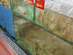 -大茄来海鲜餐厅(亚洲城分行)