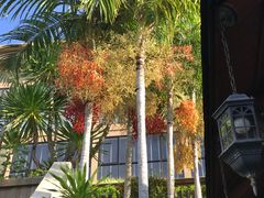 -卡伦普纳卡度假村