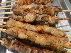 -新疆正宗烤肉营养馕(文化路店)