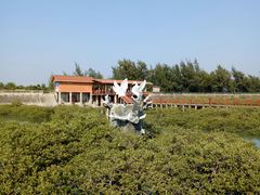 -北海金海湾红树林生态旅游区