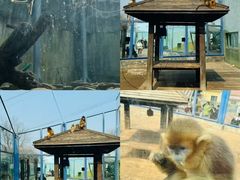 -大连森林动物园