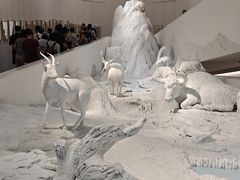 -中国湿地博物馆