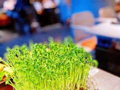 -罗勒家·养生火锅· Bistro(大望路店)