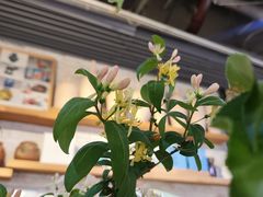 -今日陶艺(富力广场店)
