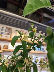 -今日陶艺(富力广场店)