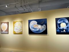 -M Stand (TX淮海路店)