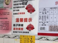 -老袁家蜜桃农场·阳山水蜜桃