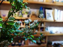 -今日陶艺(富力广场店)