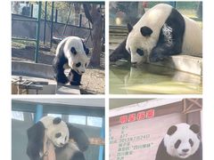 -天津市动物园