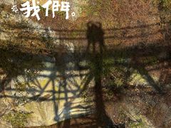 -少华山国家森林公园
