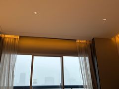 -新加坡瑞士史丹福酒店