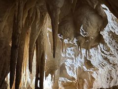 -怀托摩萤火虫洞